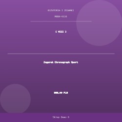 Zegarek Chronograph Sport